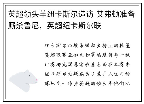 英超领头羊纽卡斯尔造访 艾弗顿准备厮杀鲁尼，英超纽卡斯尔联