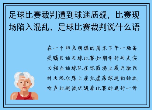 足球比赛裁判遭到球迷质疑，比赛现场陷入混乱，足球比赛裁判说什么语言